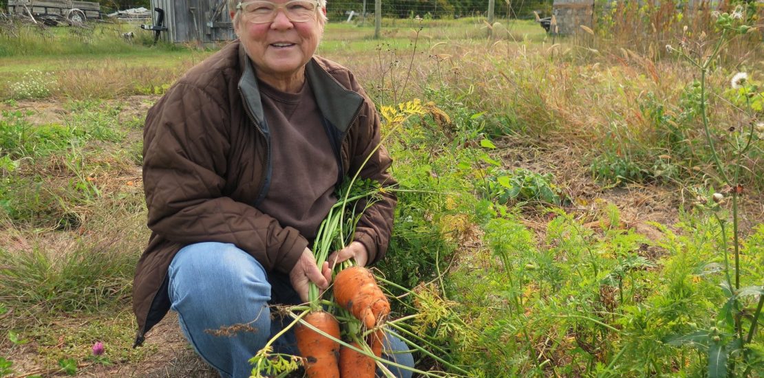 Small farmers challenge conventional agriculture in Pineland Sands