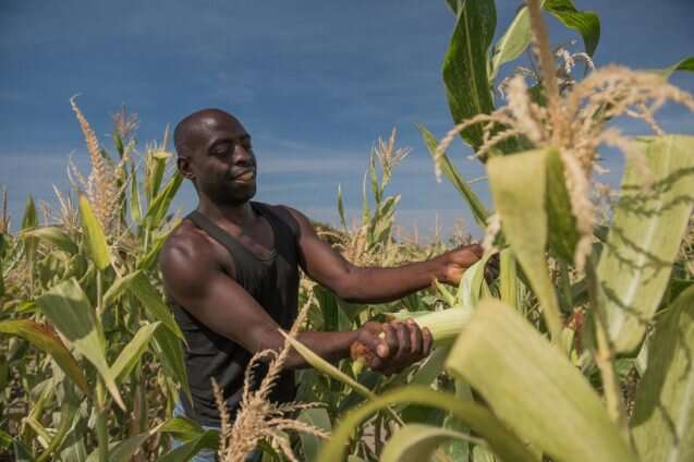 Re-imagining Africa's food future at the intersection of agriculture and conservation